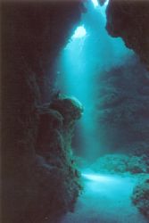 Victory Reef, Bahamas taken with Nikonos V by Ian Brooks 